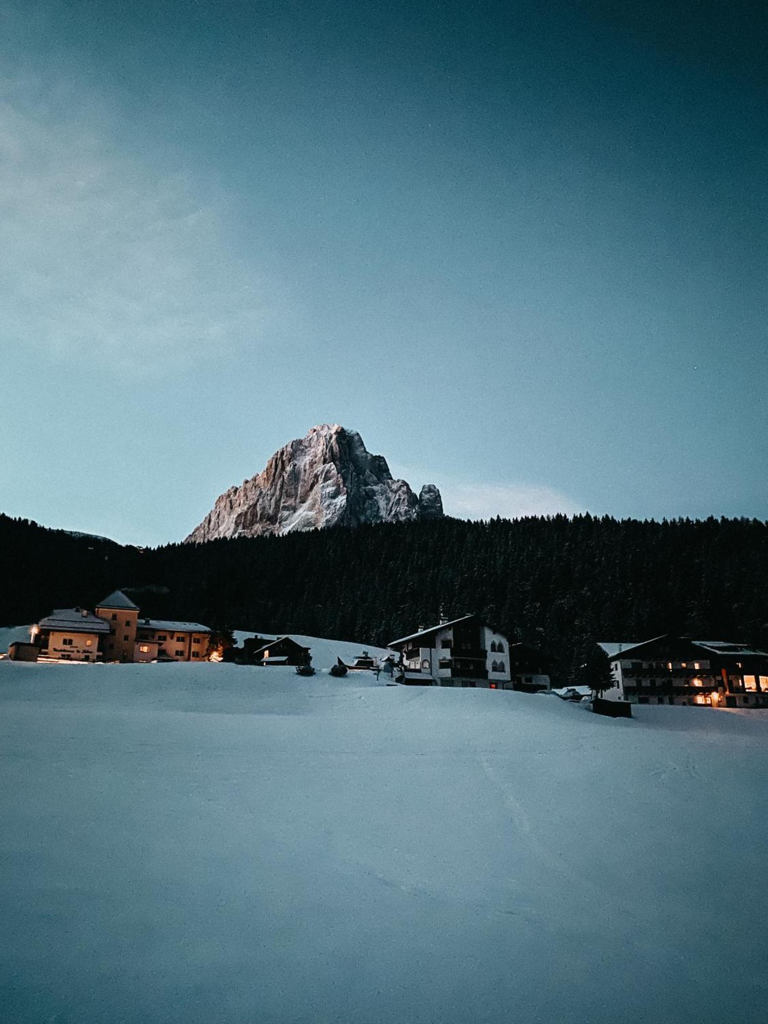 Mountain Chalet Pra Ronch Selva di Val Gardena Exteriör bild